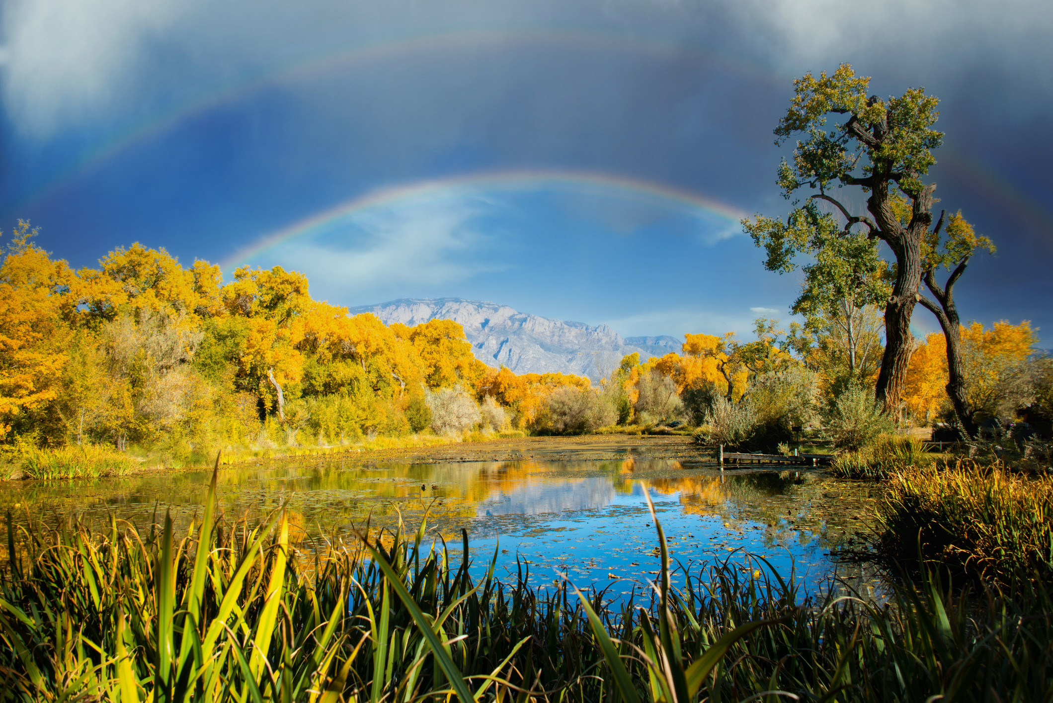 Double rainbow over the Sandia Mountains with a view of the Rio Grande in the foreground